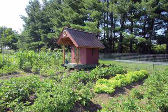 Inspired by the article “Chickens in the Garden” in the April/May 2013 issue, readers Tina and John Jaeger of Jeddo, Mich., incorporated their flock into their garden setup to provide all-natural pest control as well as manure for valuable homemade fertilizer.